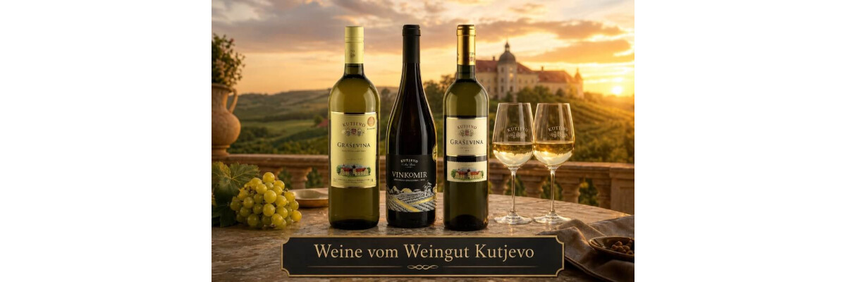 Was ist Kutjevo d.d.? Graševina und Wein aus Slawonien einfach erklärt - Kutjevo d.d.: Graševina aus Slawonien erklärt