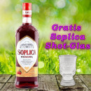 Soplica Kirsche Likör Wisniowa 26% vol. 500ml + 1...